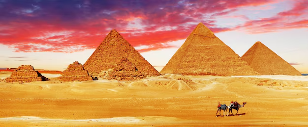 تأهيل مهني بمعايير دولية